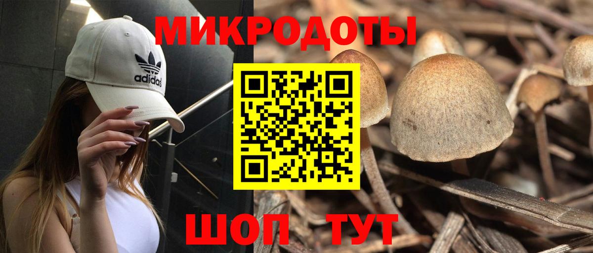 Красный Сулин  Галлюциногенные грибы MAGIC MUSHROOMS  Вход с VPN 