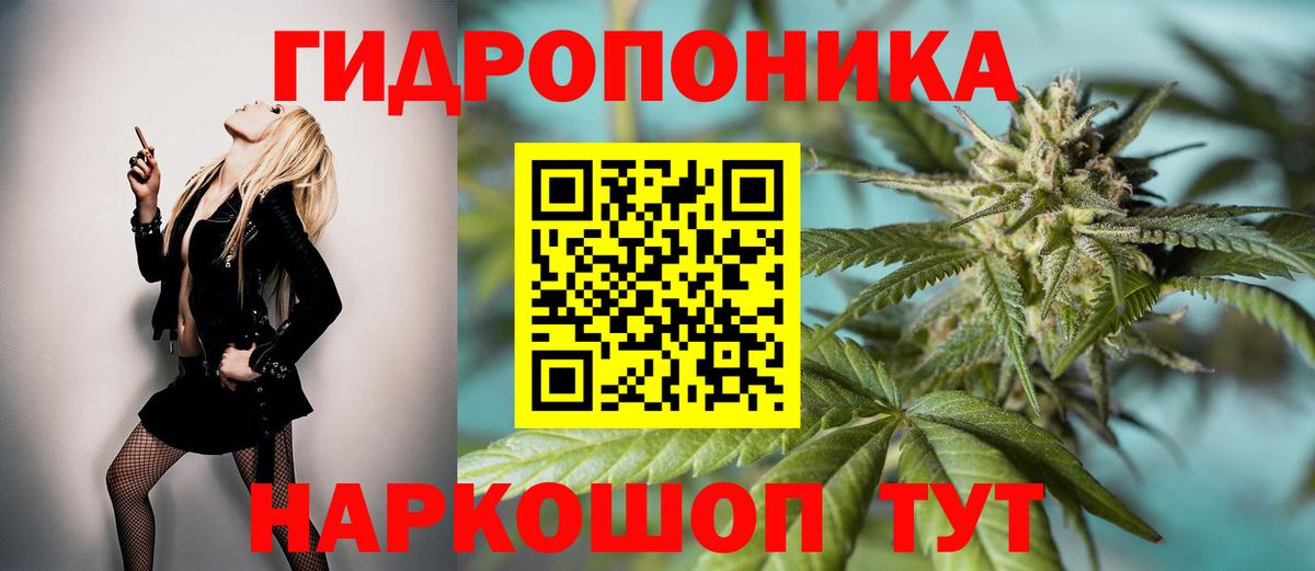Бошки Шишки сатива Красный Сулин